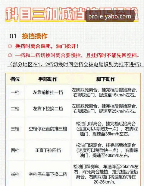 亚博线上平台最新动态：新手必看的完整使用教程与操作心得
